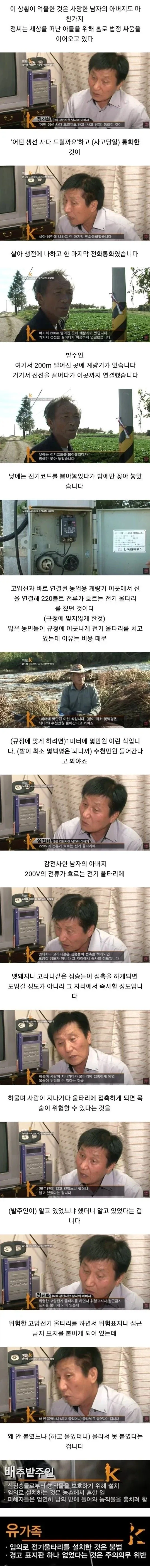 배추 서리 때문에 인생 망함 - 이미지 2