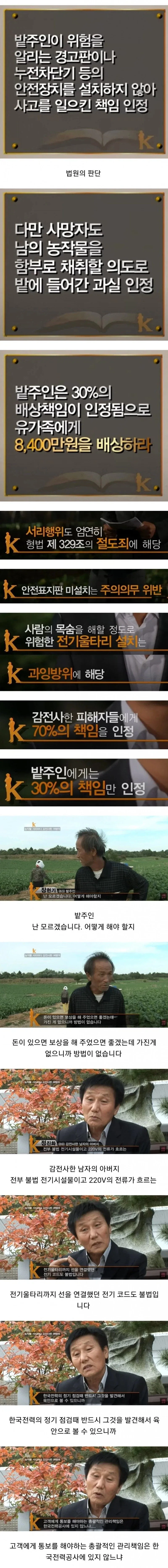 배추 서리 때문에 인생 망함 - 이미지 3