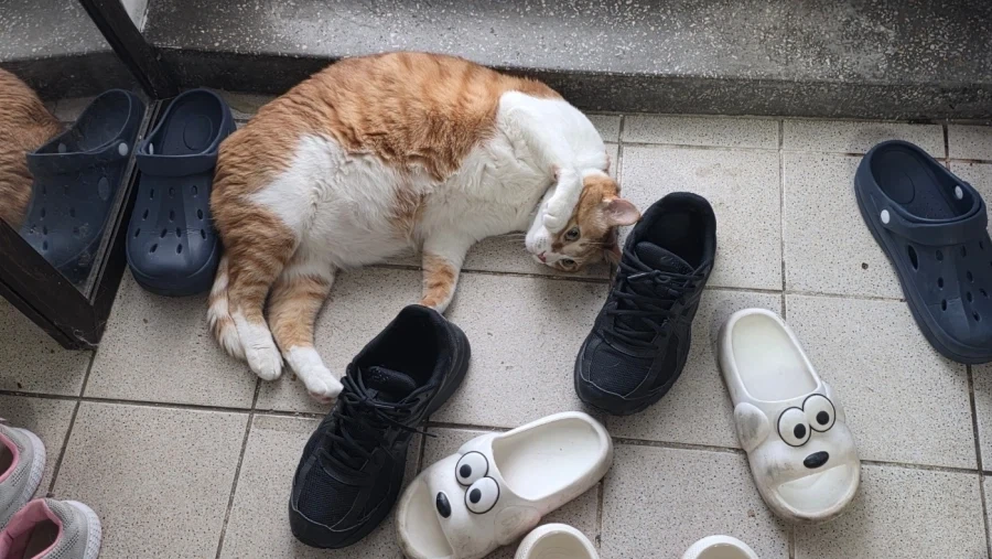 넌 모찌나간다