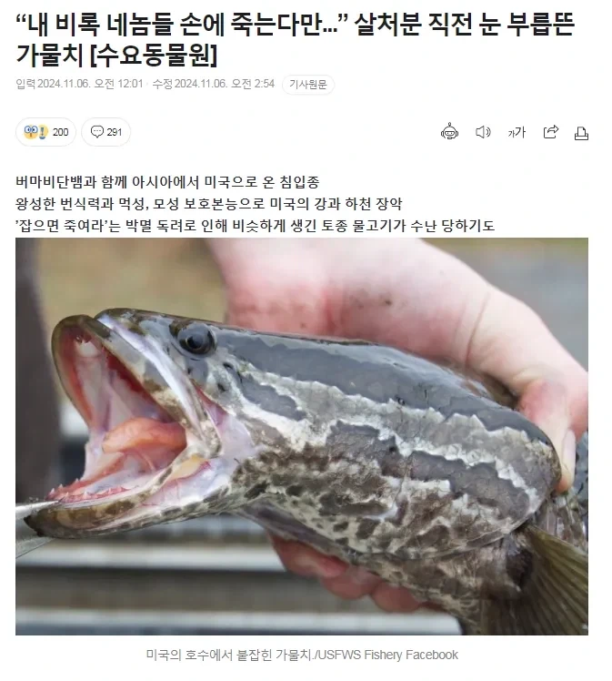 내 비록 네놈들 손에 죽지만 내동포들이 그자리를 채울것이야