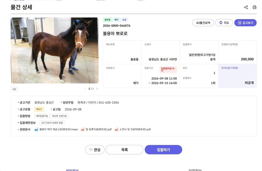 팝니다) 말, 20만원