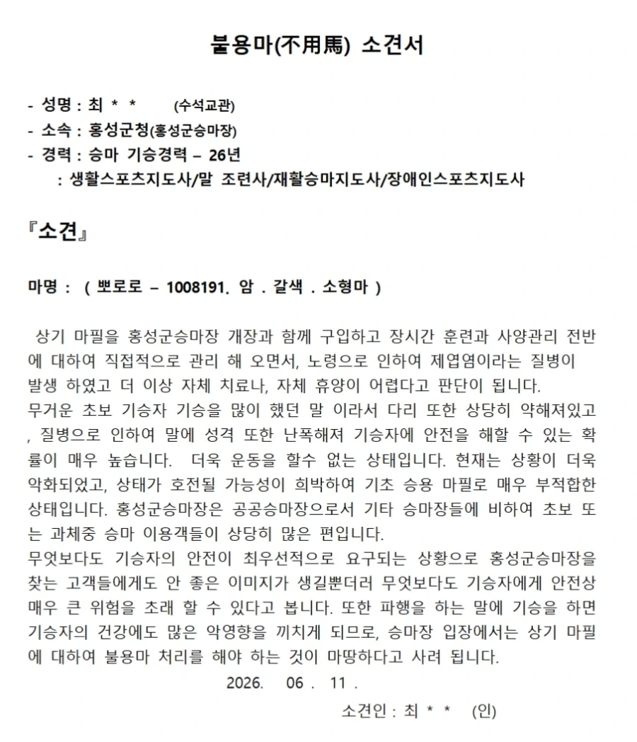 팝니다) 말, 20만원 - 이미지 2