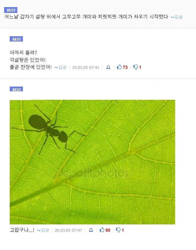 거짓말쟁이 노랜드 - 이미지 2