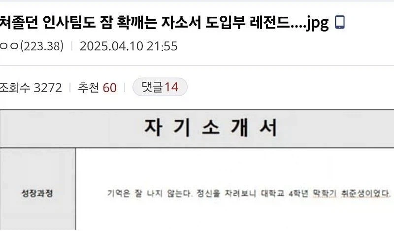 흥미진진한 자소서