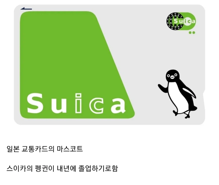일본에서 난리난 교통카드 마스코트