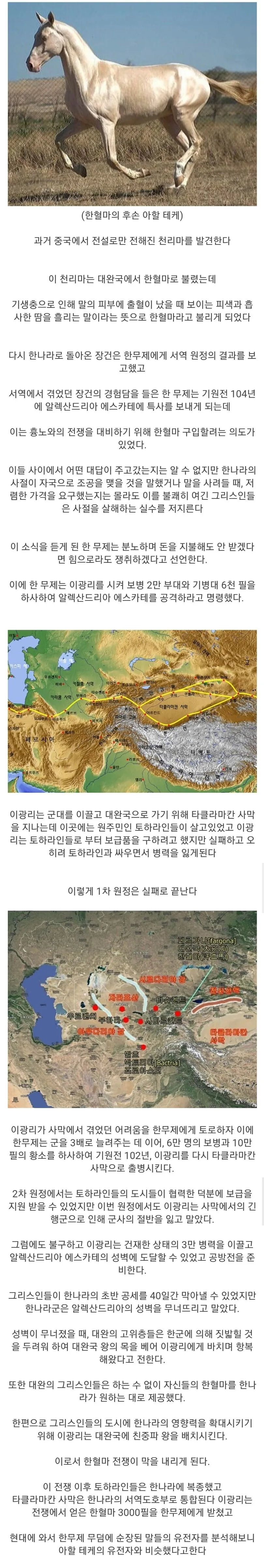 한나라 시절 말떄문에 전쟁했던 이야기.img - 이미지 2