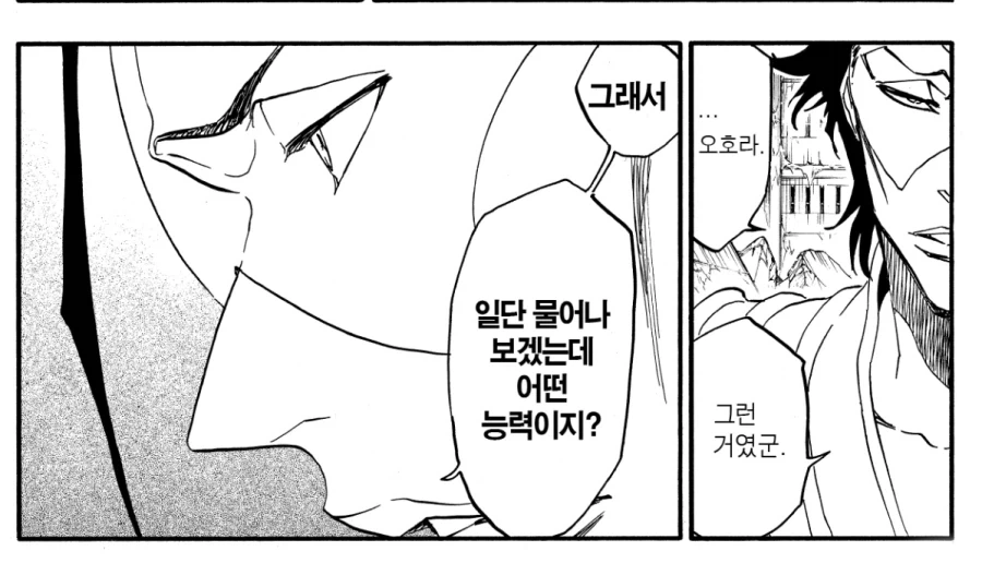 블리치에서 이례적인 캐릭터