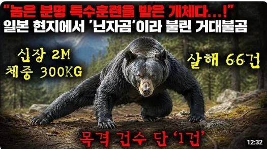 아니 이 영상 썸네일 엄청 신경쓰이네 ㅋㅋㅋ