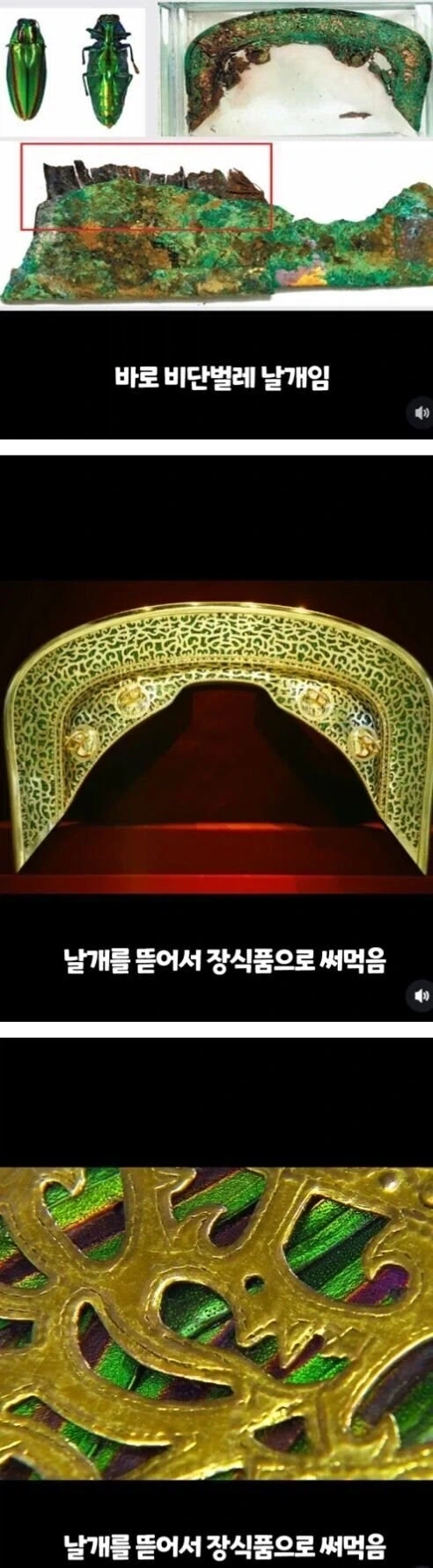 곤충을 이용해 만든 유물.jpg