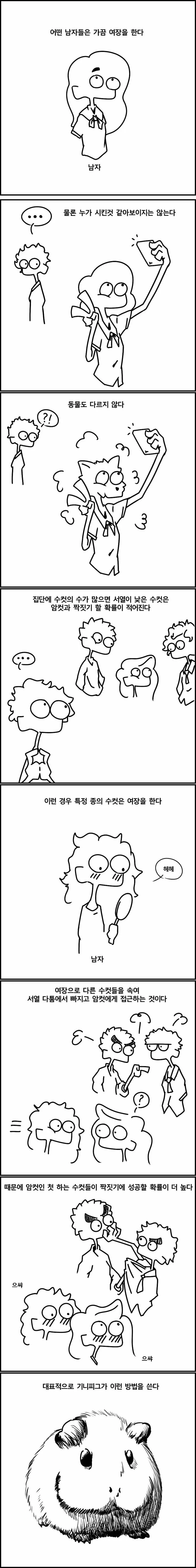 알쏭달쏭한 동물의 ㅅㄱㄱ 방법.Manhwa