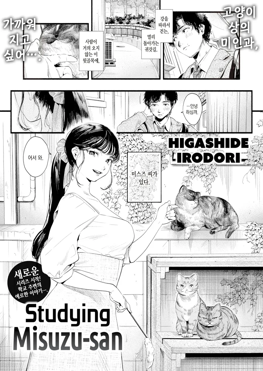 귀갓길 고양이 상의 미인 누나.manhwa