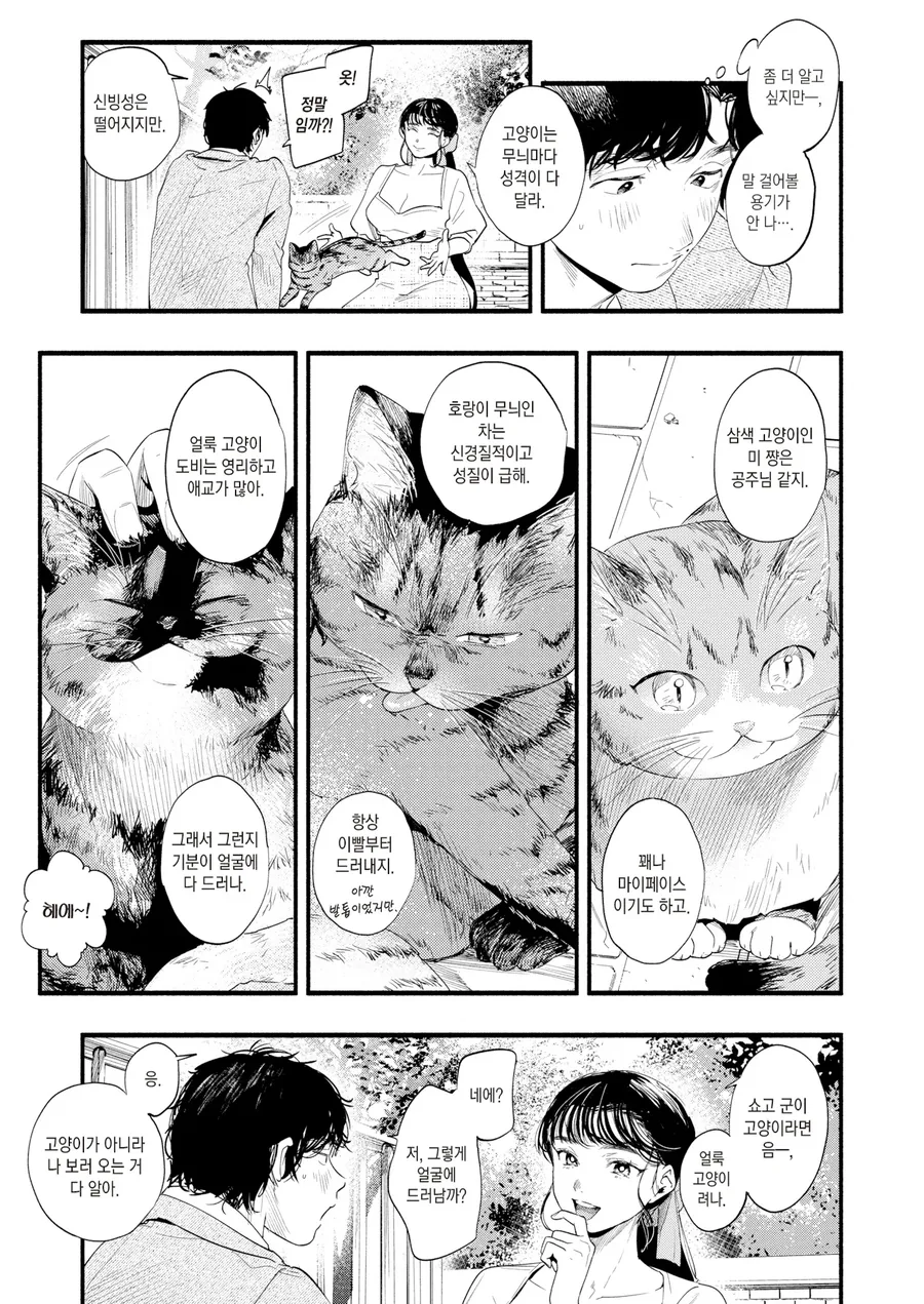 귀갓길 고양이 상의 미인 누나.manhwa - 이미지 3