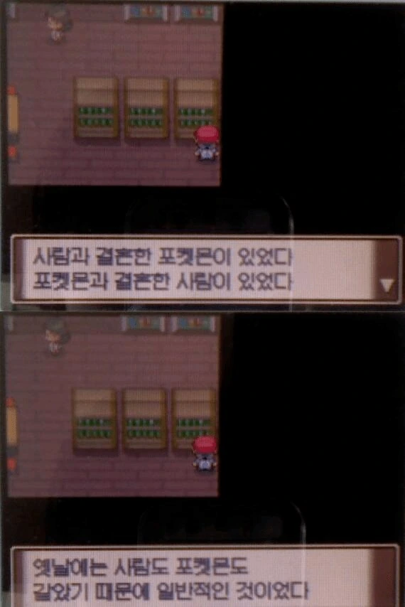 포켓몬) 인텔리레온 짝 정해주는 만화.manwha - 이미지 10