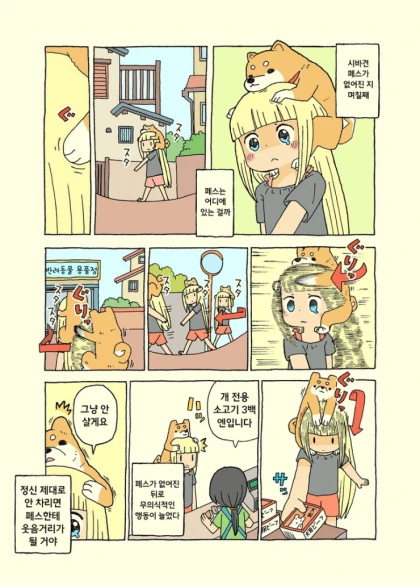 시바견 페스를 잃어버린지 며칠째.manwha - 이미지 4