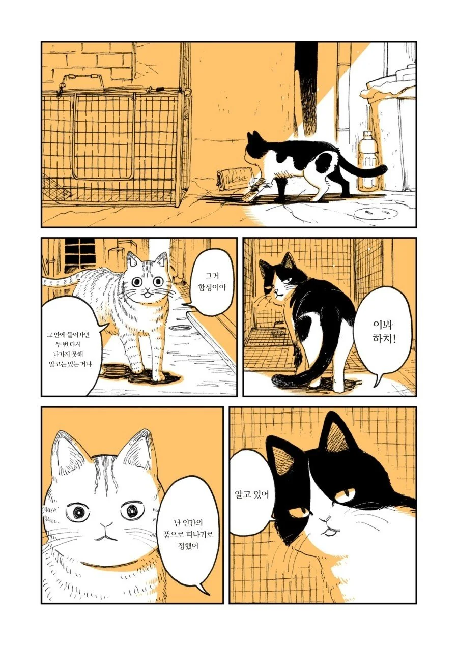 두목 고양이가 은퇴하는.manwha