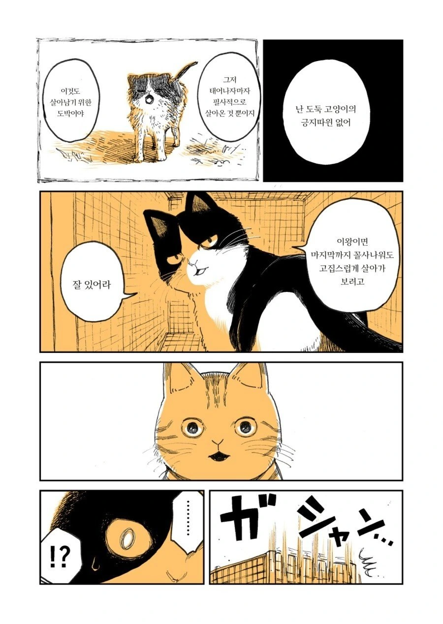 두목 고양이가 은퇴하는.manwha - 이미지 3