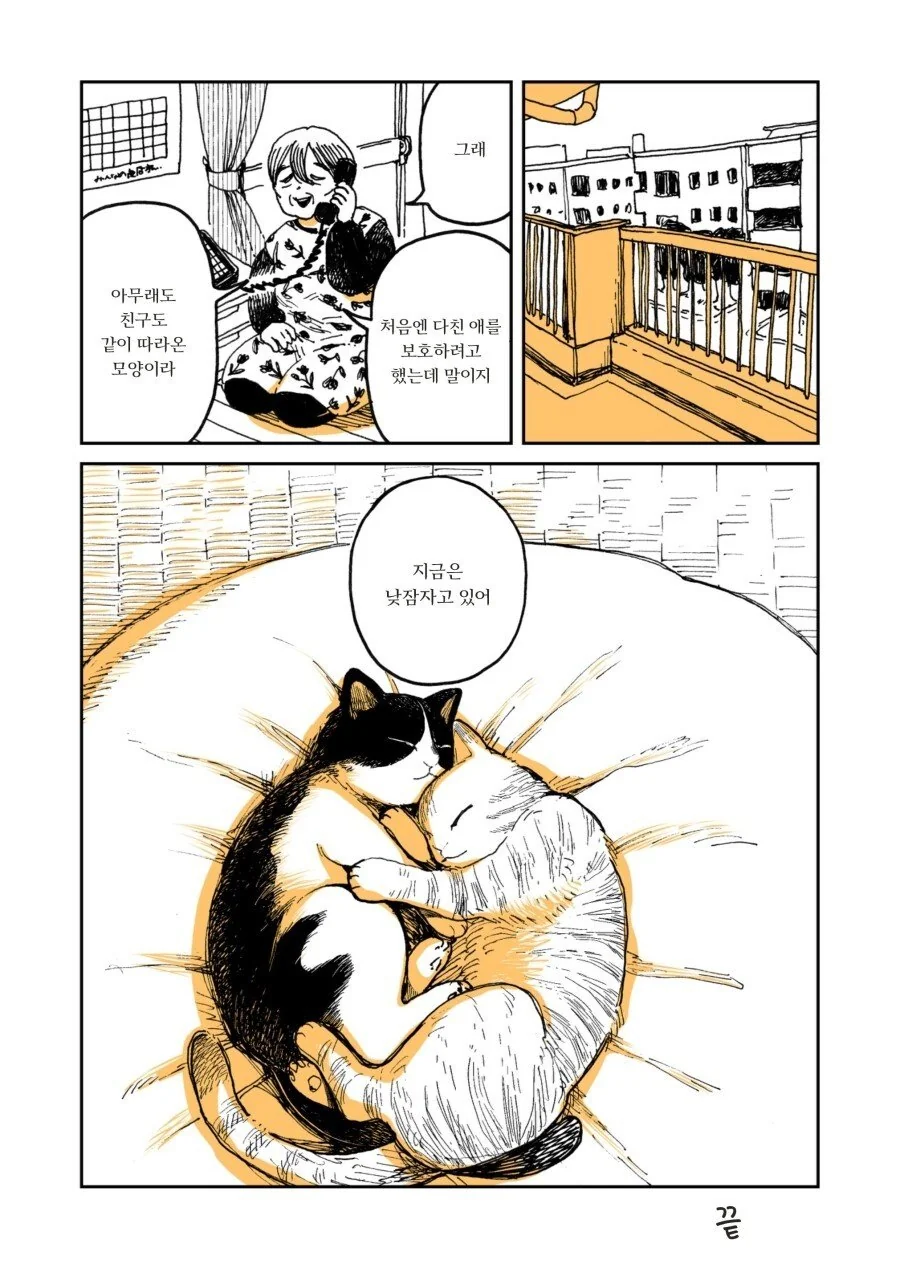 두목 고양이가 은퇴하는.manwha - 이미지 5