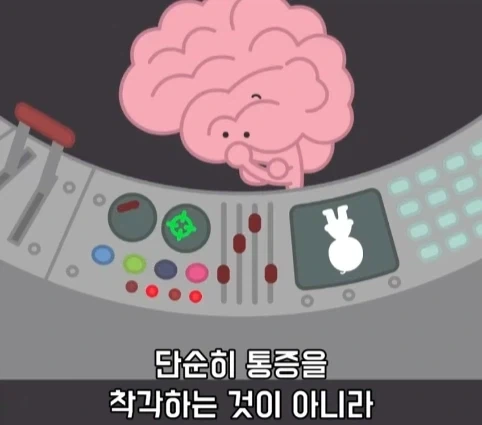 플라시보 효과는 단순 기분탓이 아니라는 연구.jpg - 이미지 13