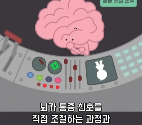 플라시보 효과는 단순 기분탓이 아니라는 연구.jpg - 이미지 14