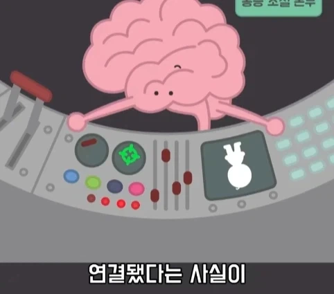 플라시보 효과는 단순 기분탓이 아니라는 연구.jpg - 이미지 15