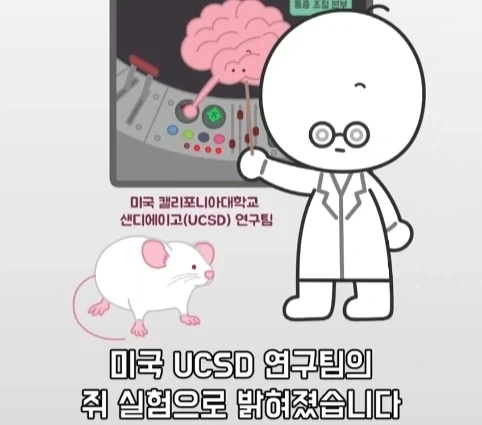 플라시보 효과는 단순 기분탓이 아니라는 연구.jpg - 이미지 16