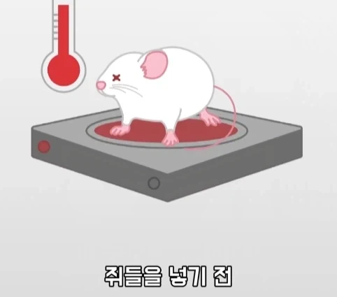 플라시보 효과는 단순 기분탓이 아니라는 연구.jpg - 이미지 19