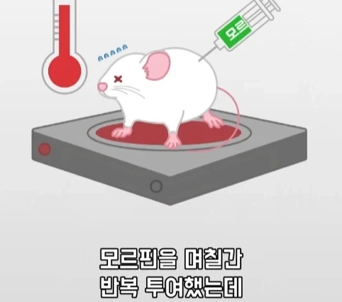 플라시보 효과는 단순 기분탓이 아니라는 연구.jpg - 이미지 20