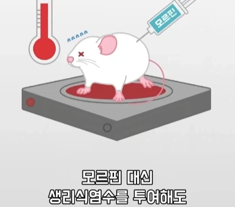 플라시보 효과는 단순 기분탓이 아니라는 연구.jpg - 이미지 21