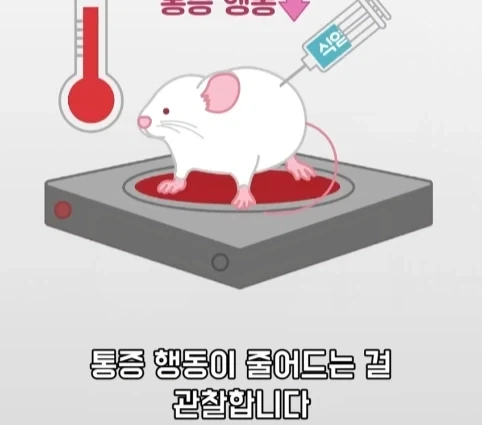 플라시보 효과는 단순 기분탓이 아니라는 연구.jpg - 이미지 22