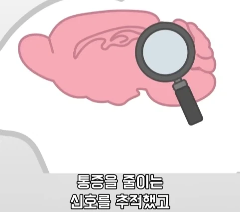 플라시보 효과는 단순 기분탓이 아니라는 연구.jpg - 이미지 24