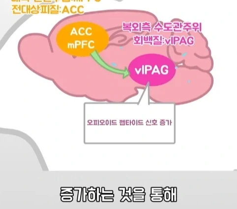 플라시보 효과는 단순 기분탓이 아니라는 연구.jpg - 이미지 31