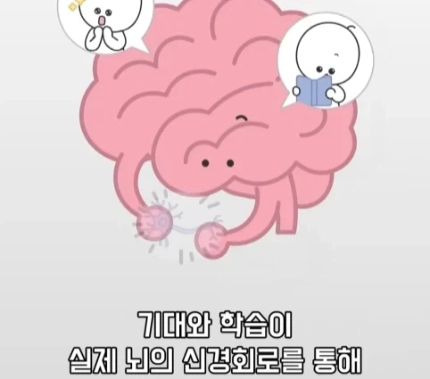플라시보 효과는 단순 기분탓이 아니라는 연구.jpg - 이미지 35