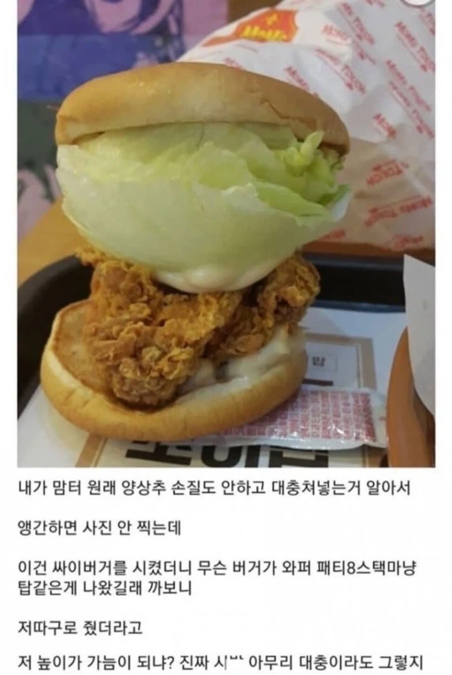 내 영혼에는 양상추의 별이 흐릅니다.jpg