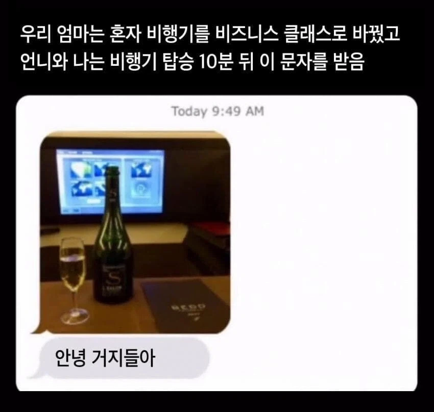엄마가 자기 좌석만 몰래 비즈니스석으로 바꾸고 보낸 문자.jpg