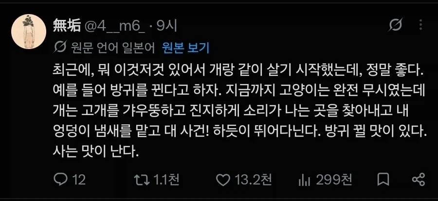 고양이 보다 개가 더 좋아