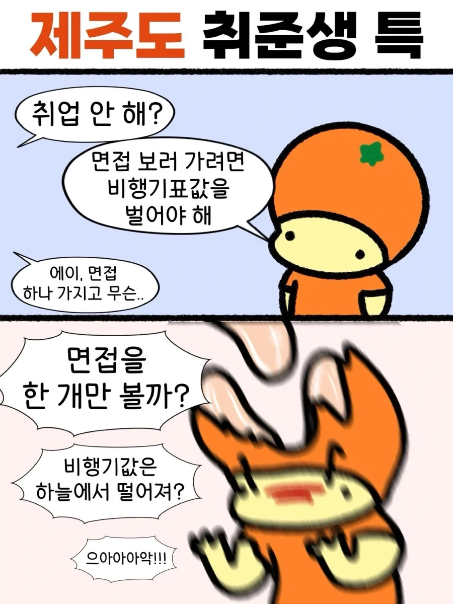 제주도 취준생 특