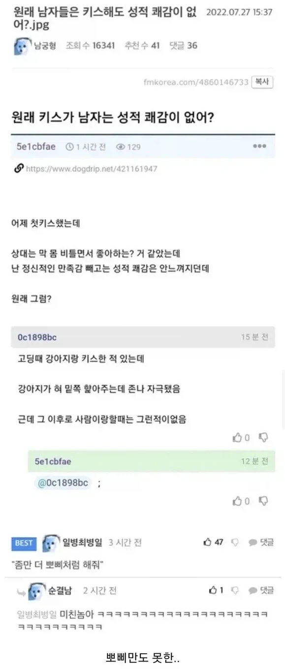 우리집 뽀삐만도 못하구나