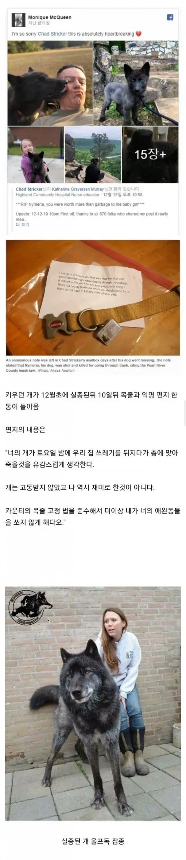키우던 개가 실종 10일만에 목줄과 함께 익명의 편지만 돌아옴