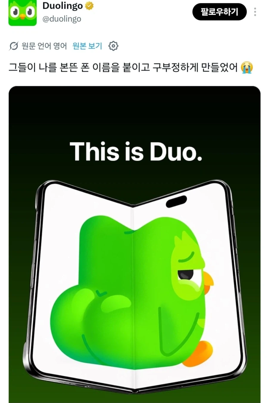 솔직히 이건 듀오가 압승이지