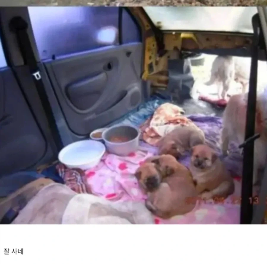 다 부셔지는 마티즈에 생활하는 가족 - 이미지 3