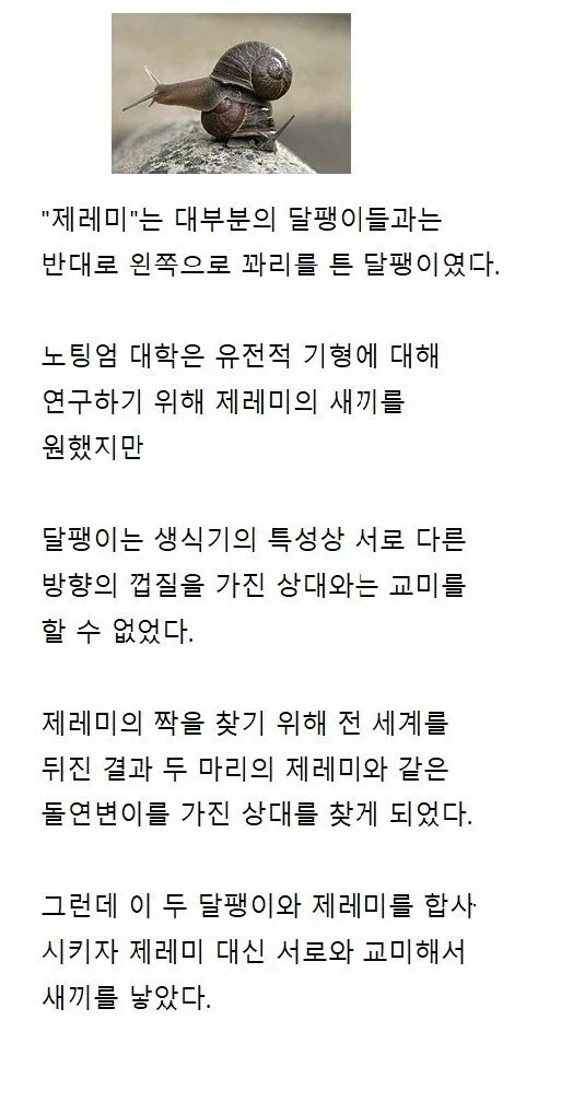 교미 한 번 하려고 전세계를 뒤진 결과