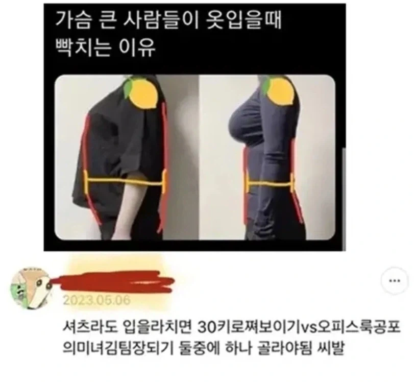 가슴 큰 사람들이 옷 입을 때 빡치는 이유