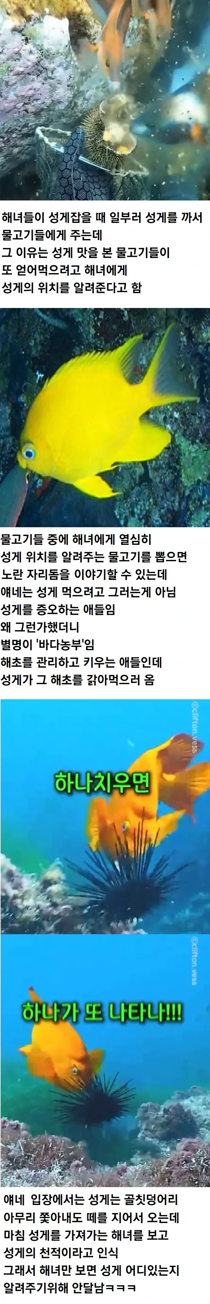 적의 적은 친구 라고 하는 이유