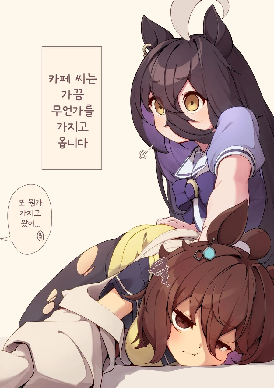 말딸) 카페 고양이의 습성