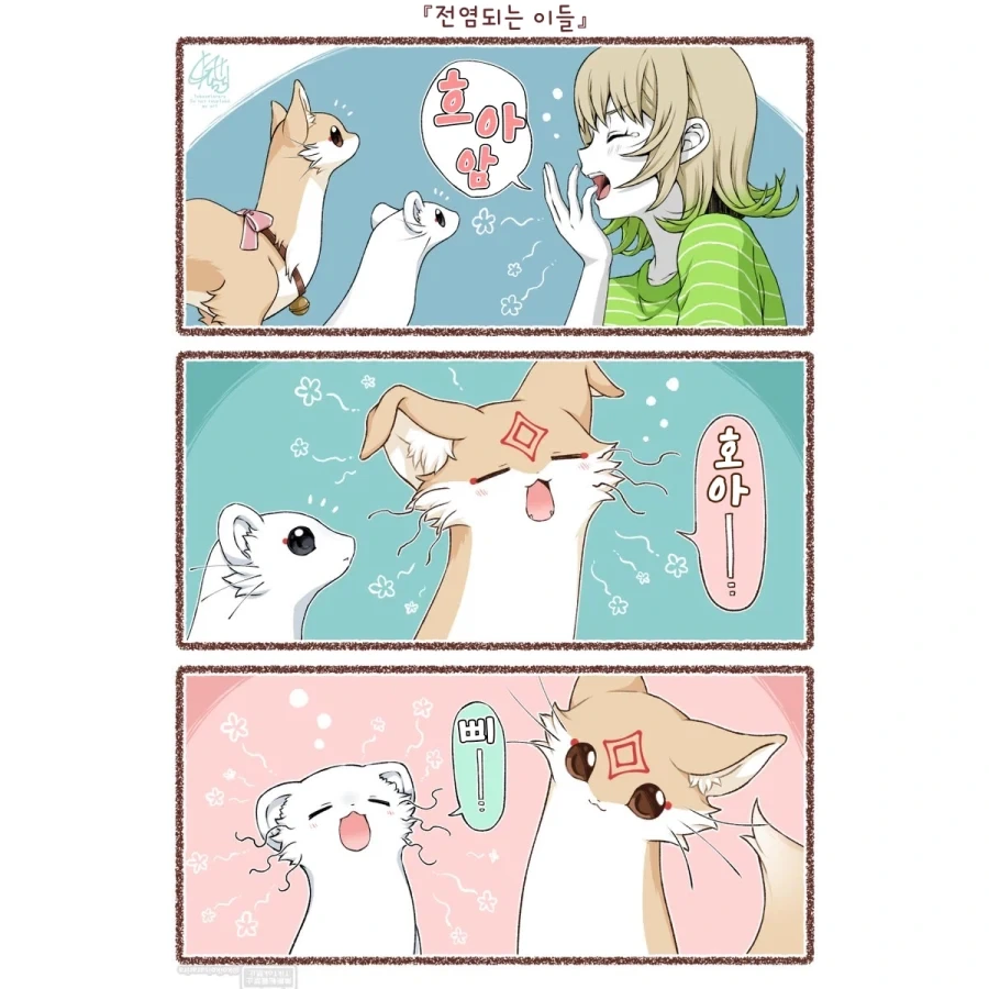 번역)하품이 전염되는 대롱여우들.manhwa