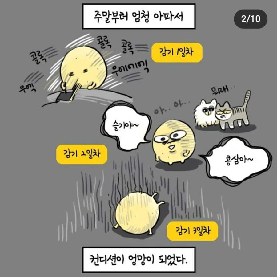 아파서 반차내고 쉬는 직장인들 특.manhwa