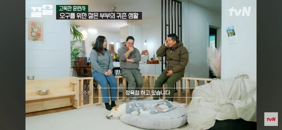생명은 소중하니까 반려묘가 잡아온 생쥐들도 다 놔준다는 어느 주인장 - 이미지 3
