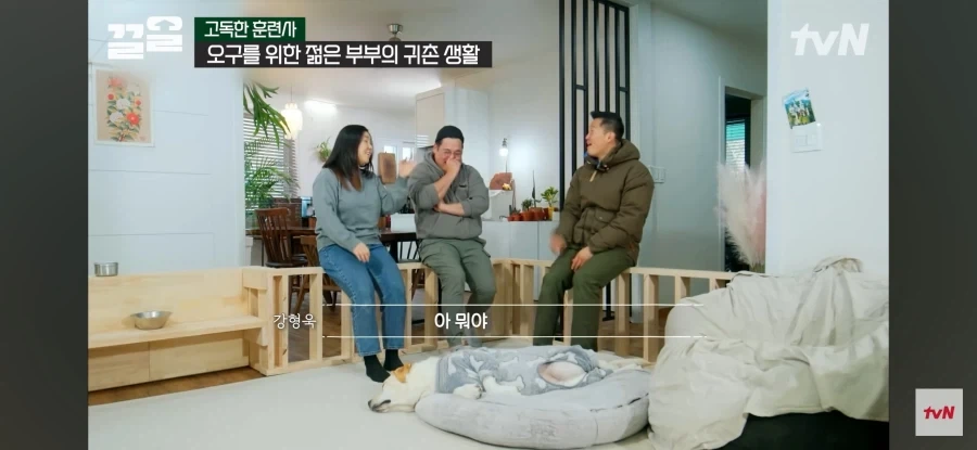 생명은 소중하니까 반려묘가 잡아온 생쥐들도 다 놔준다는 어느 주인장 - 이미지 4