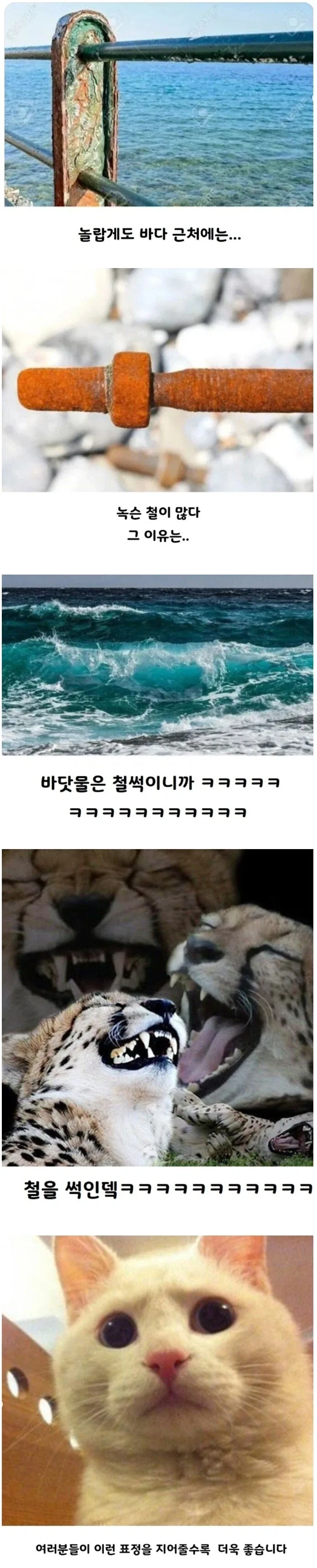 놀랍게도 바다 근처에는 녹슨 철이 많다. 그 이유는….jpg