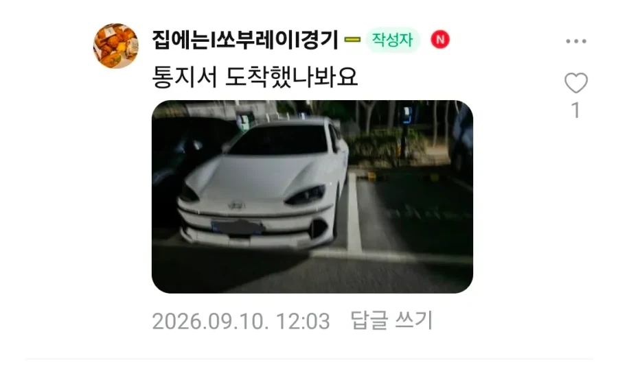지 옆에 주차 못하게 막는 ㅁㅊㅅㄲ - 이미지 4
